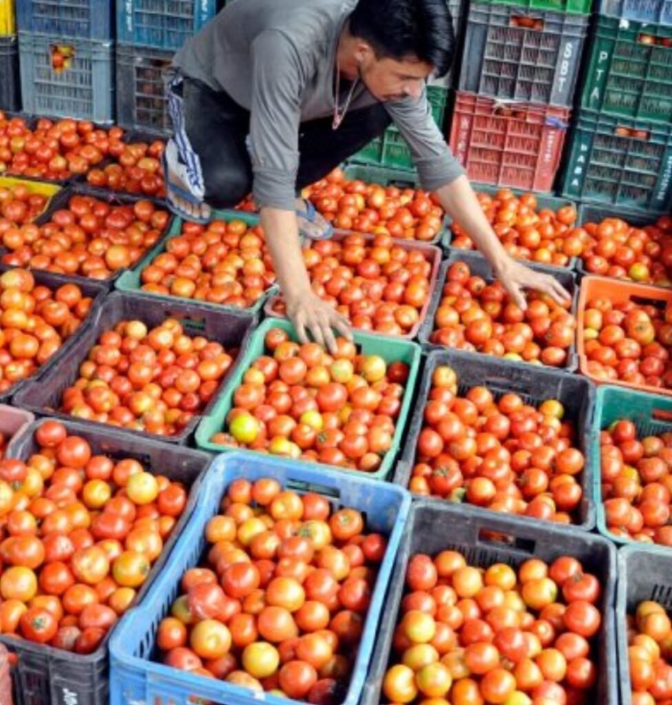 टमाटर और प्याज की कीमत ने बाजार में लगाई आग, आसमान छू रहे हैं सब्जियों के दाम