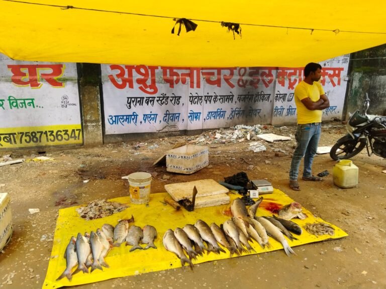 1 किलो में 250 ग्राम कम मछली देकर ग्राहकों को लगा रहे चूना, नापतोल विभाग की निष्क्रियता पर उठे सवाल, देखिए वीडियो